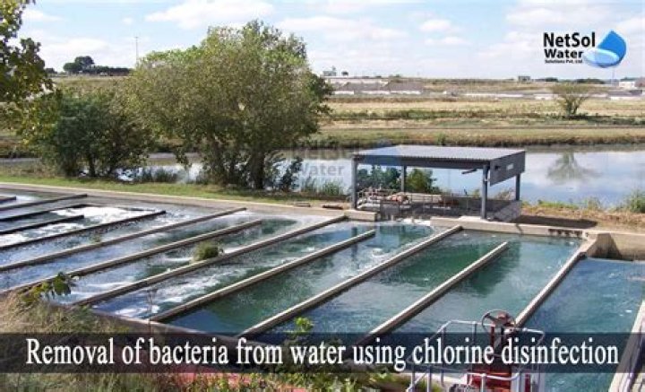 How long does it take to flush chlorine from well?