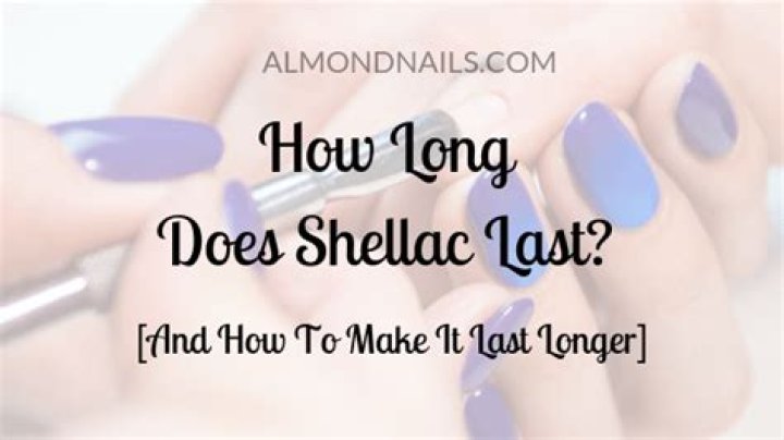 How long does shellac last once mixed?