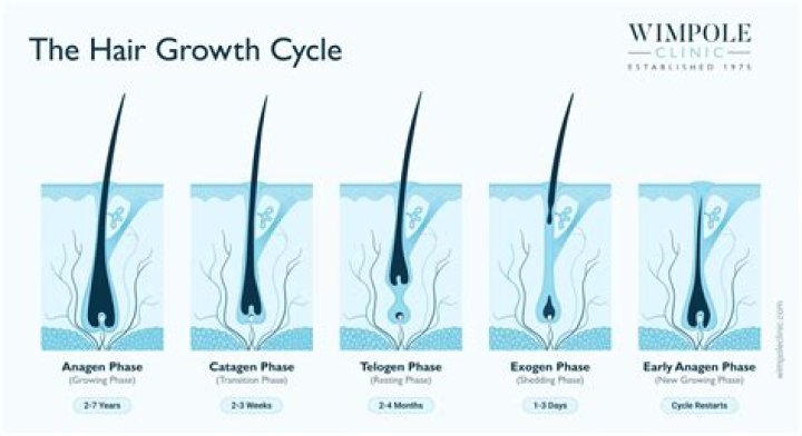 How long is the infatuation phase?