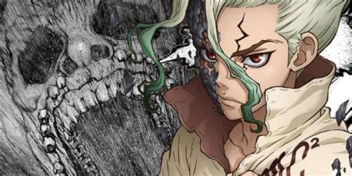 How long was Dr. Stone petrified?