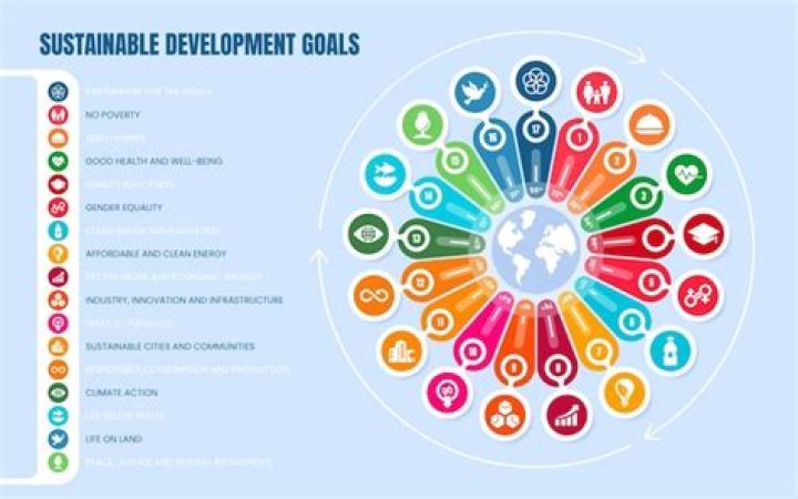 How many countries adopted the global goals?