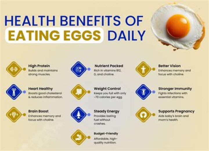 How many eggs should I eat in a day to lose weight?
