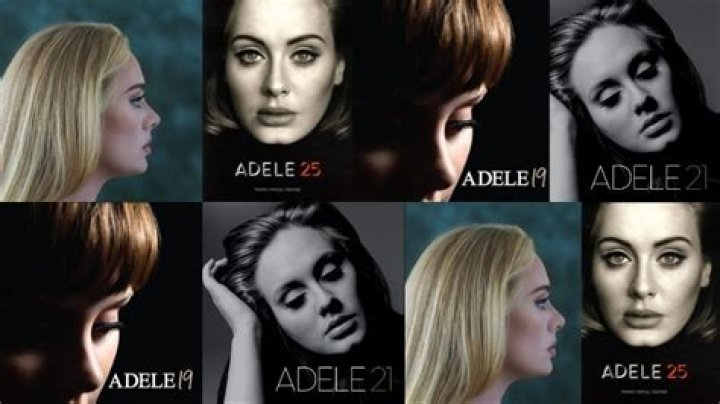 How many octaves Adele have?