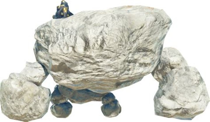 How many rare talus are there?