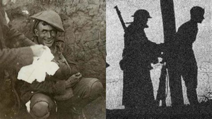 How many soldiers were executed for cowardice during ww1?