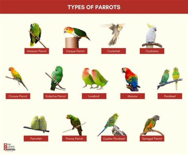 How many types of kammas are there?