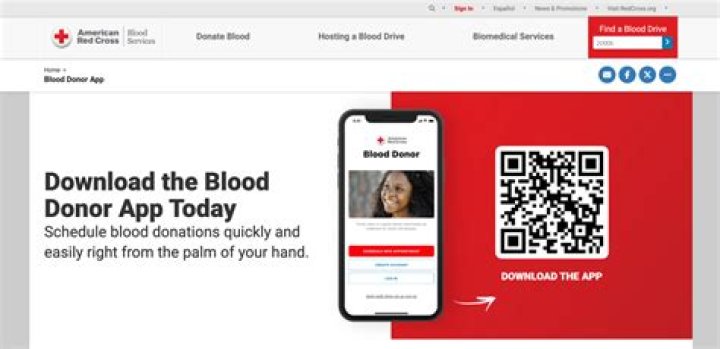 How much did Red Cross Donate to Haiti?
