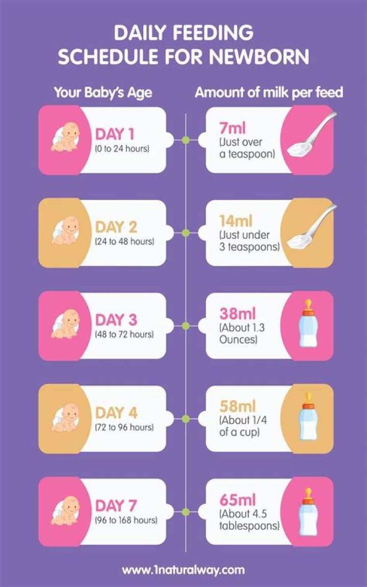 How much do newborn eat?