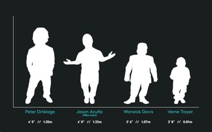 How much does the average dwarf weigh?