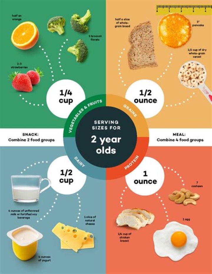 How much should a 2 year old eat?