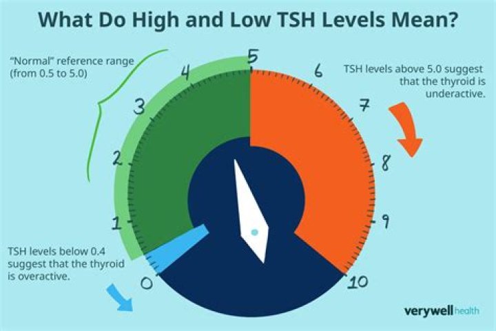 How often can TSH levels change?