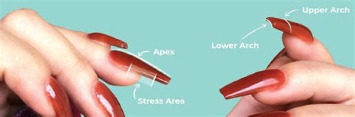 How thick should acrylic nails be?