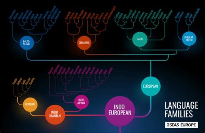 How will the study of literature help students like you improve your understanding of our language and culture?