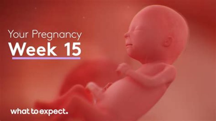 Is 15 weeks considered 4 months pregnant?