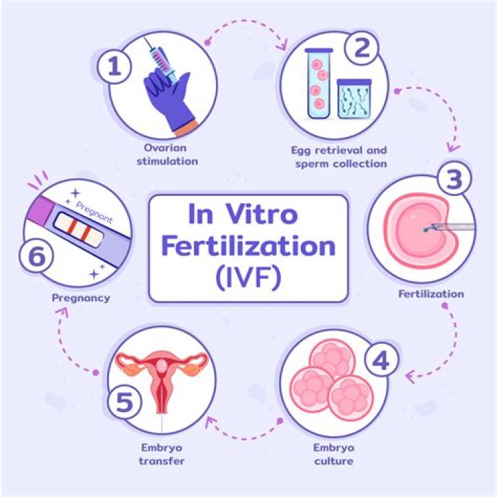 Is 2 eggs good for IVF?