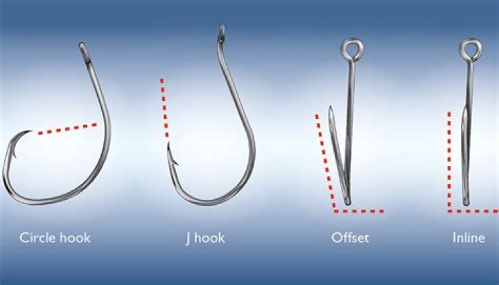 Is a circle hook good for catfish?