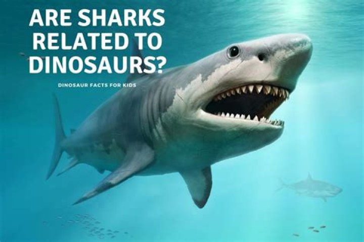 Is a shark a dinosaur?