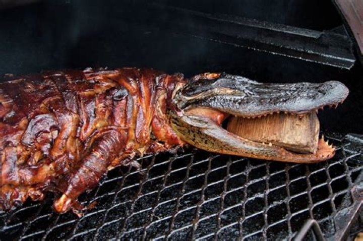 Is alligator meat safe to eat?