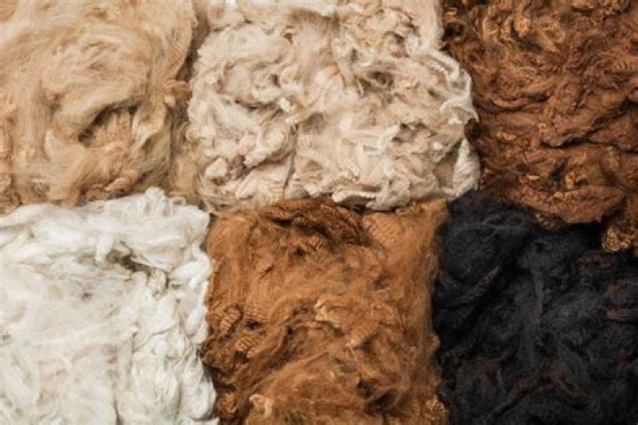 Is alpaca wool windproof?