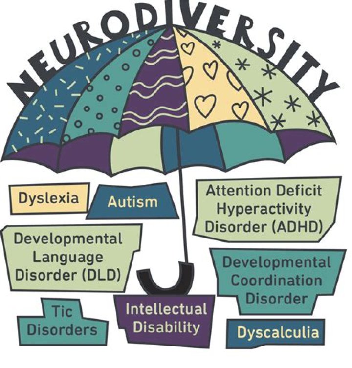 Is autism a neurodiverse?