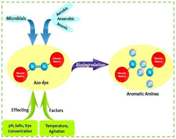 Is Azo safe to take everyday?
