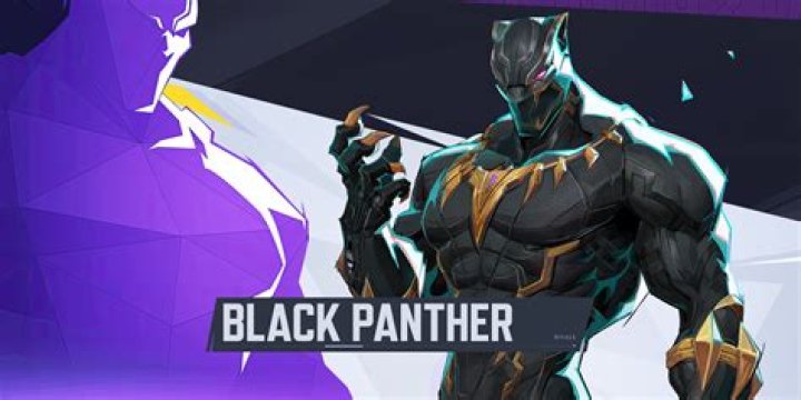 Is Black Panther an avatar for Bast?