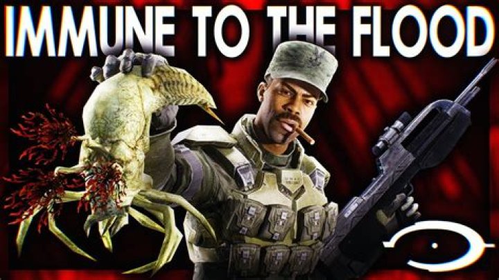 Is Chief immune to the flood?