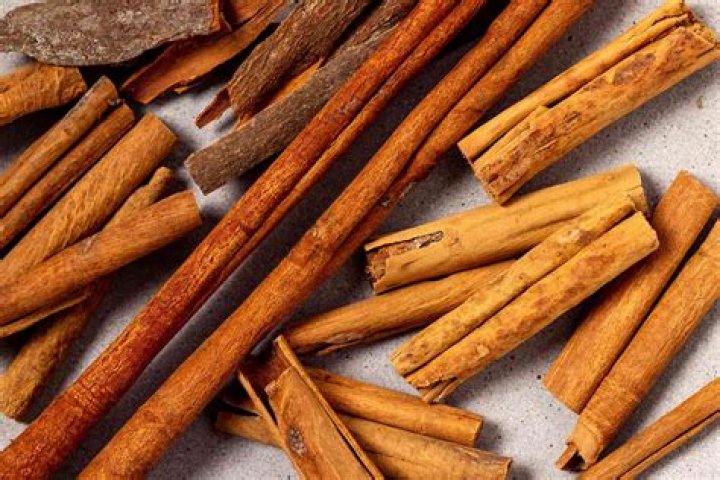 Is cinnamon a probiotic?