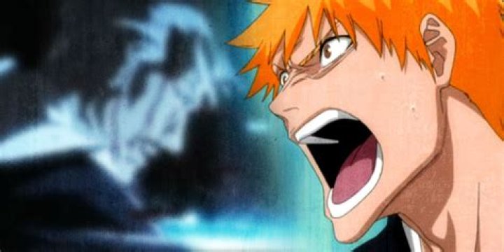 Is CLR a bleach?