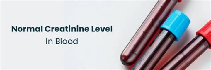 Is creatinine 1.5 normal?