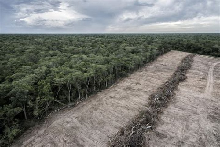 Is deforestation a problem in Canada?