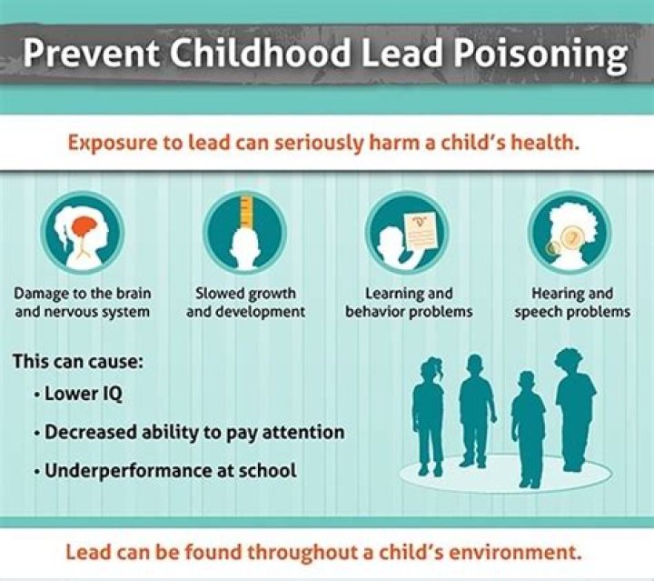 Is everyone exposed to lead?