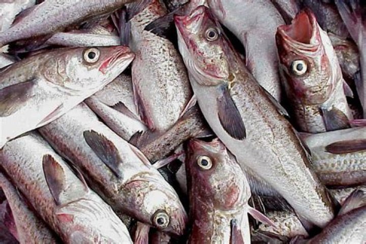 Is fish processed in China?