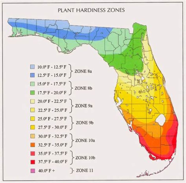 Is Florida humidity good for skin?