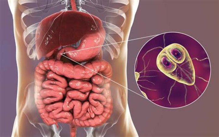 Is Giardia an STD?