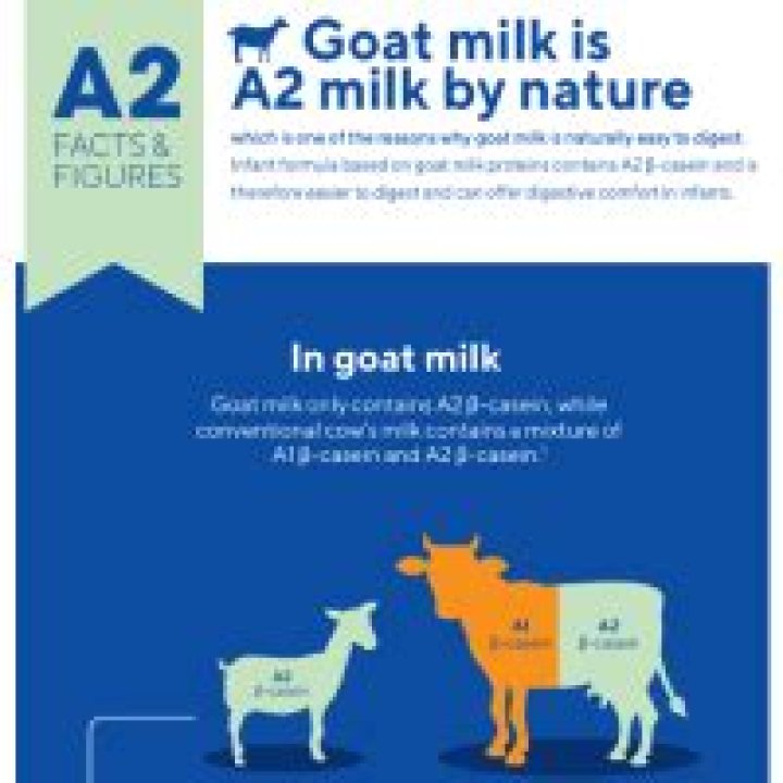 Is goat milk A1 or A2?