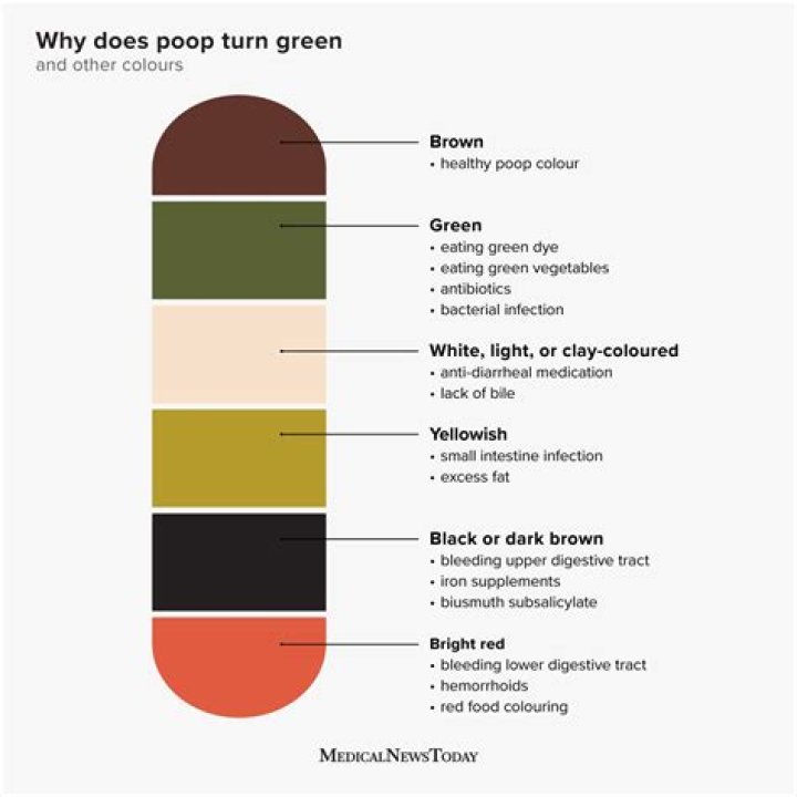 Is green poop healthy?