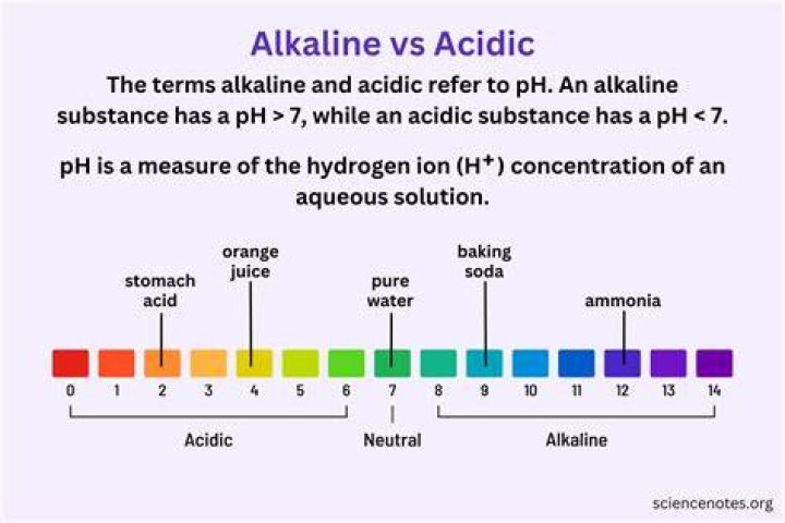 Is honey an alkaline?