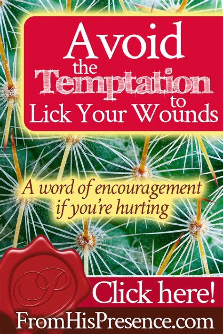 Is it a good idea to lick your wounds?