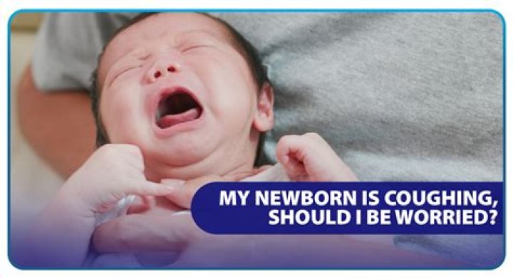 Is it bad to have a dog around a newborn?