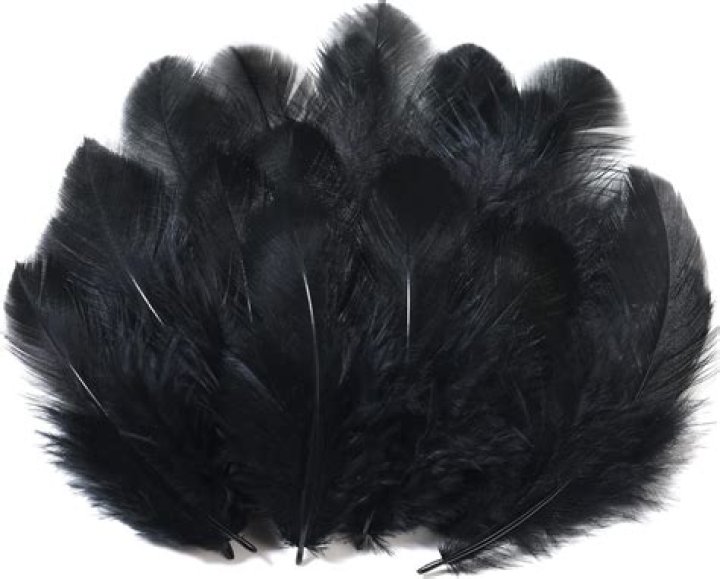Is it cruel to buy feathers?