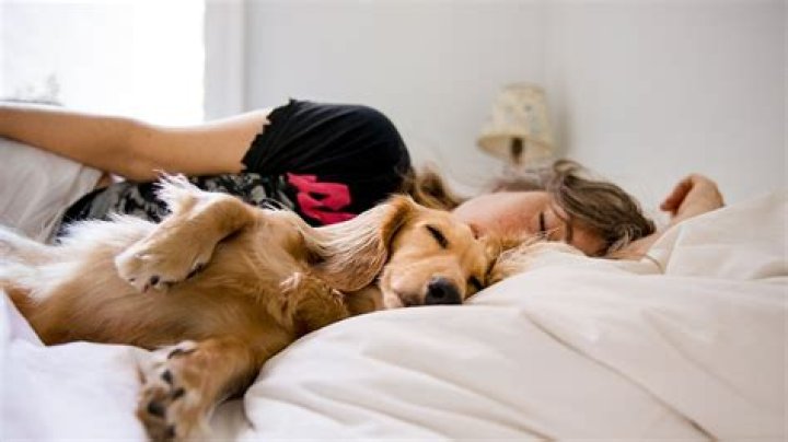 Is it good to sleep with your dog?