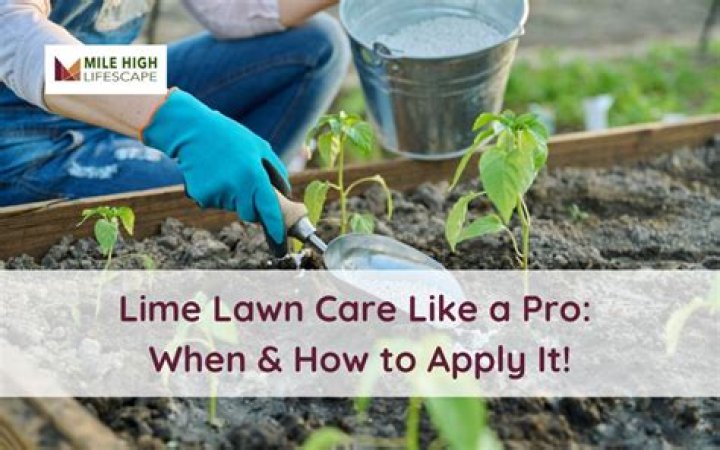 Is it OK to apply lime before rain?