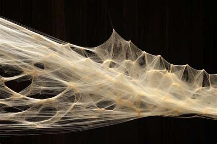 Is Kevlar made of spider web?