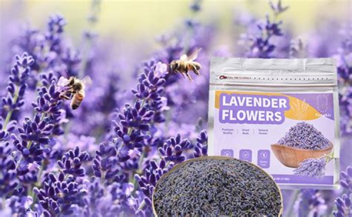 Is lavender edible for humans?