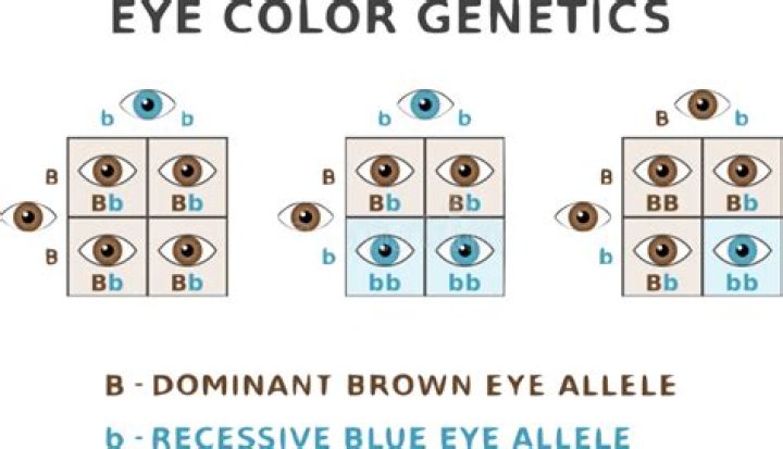 Is lip color genetic?