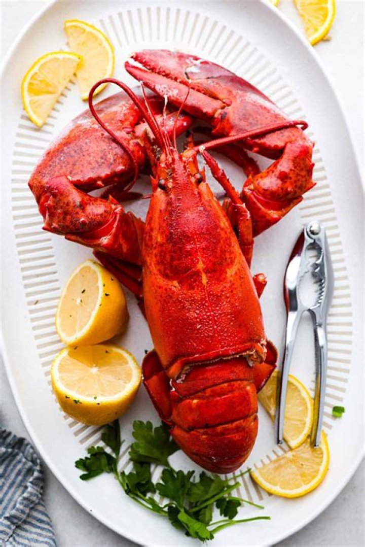 Is lobster a meat?