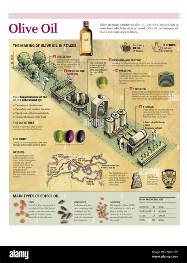 Is olive oil anti-aging?