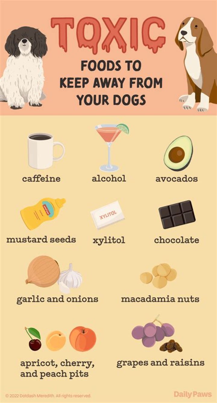 Is Pepcid toxic to dogs?