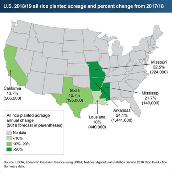 Is rice farmed in California?